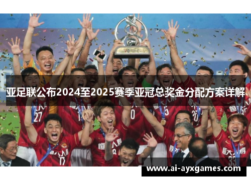 亚足联公布2024至2025赛季亚冠总奖金分配方案详解