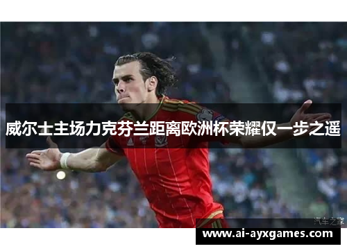 威尔士主场力克芬兰距离欧洲杯荣耀仅一步之遥