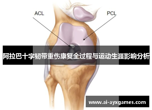 阿拉巴十字韧带重伤康复全过程与运动生涯影响分析